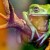 Photoshop CS5: Noise Reduction