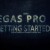 Vegas Pro 11: Project Media Window